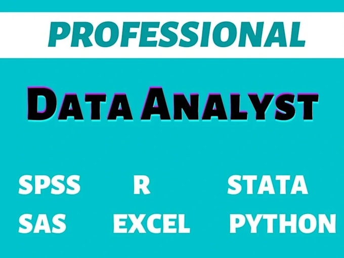 Bestseller - provide comprehensive data analysis and interpretation with r, spss, and excel