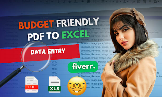 Gig Preview - Do budget friendly PDF to excel data entry fast and accurate