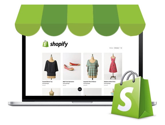 Gig Preview - Create a shopify website for your products