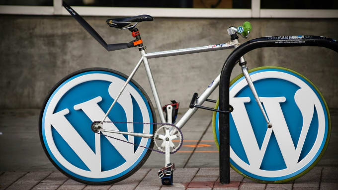 Gig Preview - Do fast reliable wordpress transfer, migration