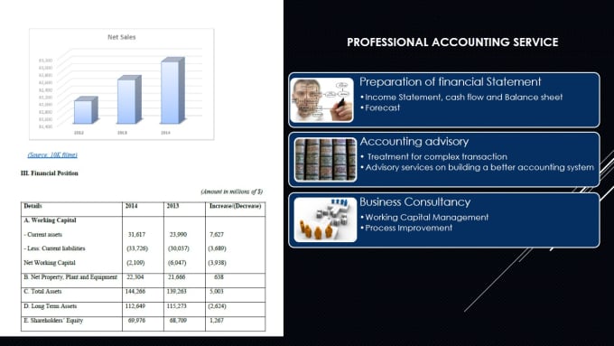 Gig Preview - Prepare financial statement for business plan