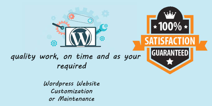 Gig Preview - Do wordpress website customization and maintenance