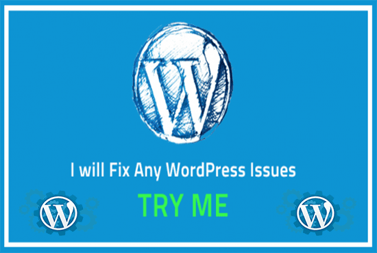 Gig Preview - Fix any wordpress issues, CSS, bugs and errors