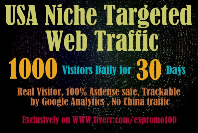 Gig Preview - Drive usa niche targeted,website,traffic,visitors