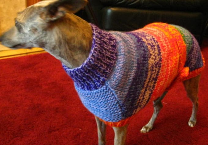 whippet jumper knitting pattern free