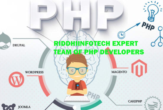 Gig Preview - Do any kind of work in php, cakephp,  laravel PHP framework