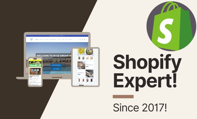 Gig Preview - Build any type of shopify store in 24 hours