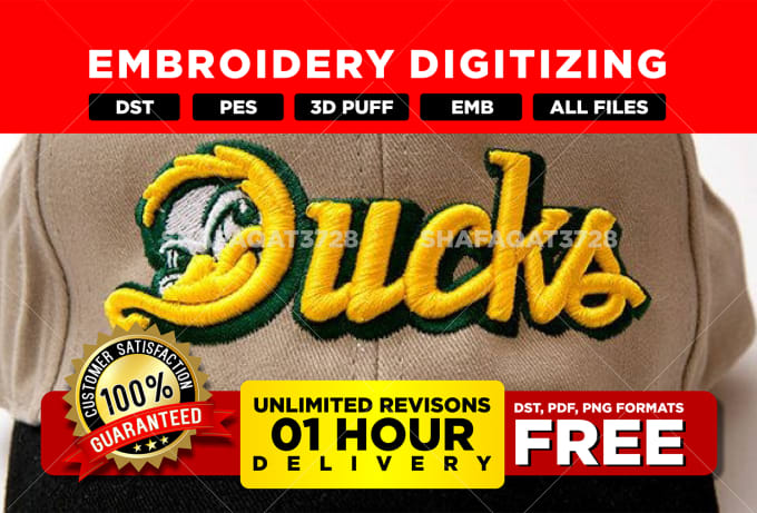 Gig Preview - Do embroidery digitizing in dst pes emb file in few hours