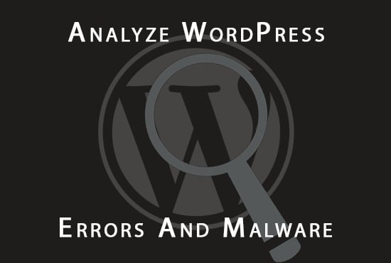 Gig Preview - Thoroughly analyze wordpress website