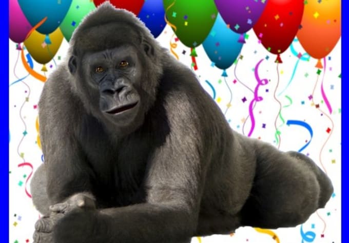 Create an unique gorilla birthday video by Mauidelite