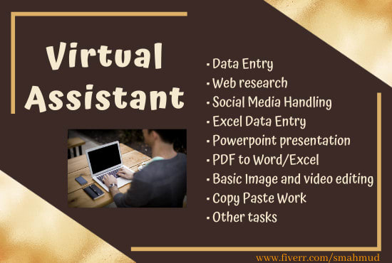 Gig Preview - Be your virtual assistant for data entry and web research