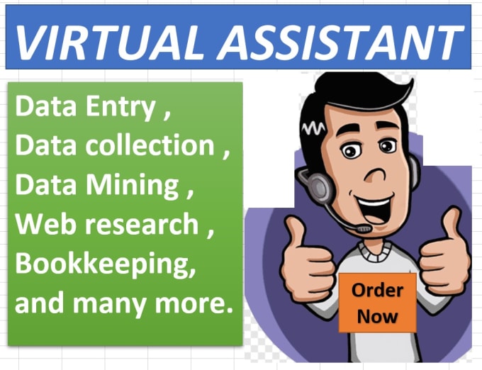 Gig Preview - Be your virtual assistant for data entry and web research