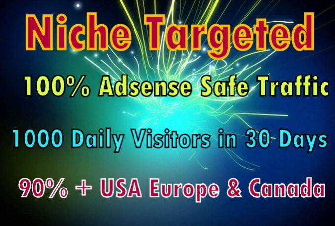 Gig Preview - Drive niche targeted real website,traffic,visitors