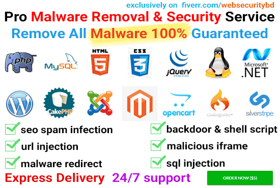 Gig Preview - Clean malware and fix security issue of your site