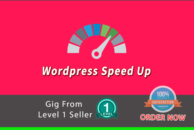 Gig Preview - Wordpress security audit and speed optimization