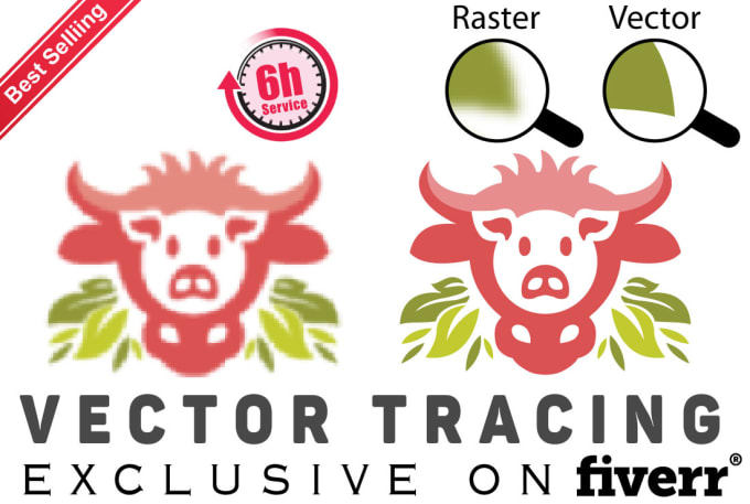 Gig Preview - Do vectorize image, jpg to vector convert logo or image to vector