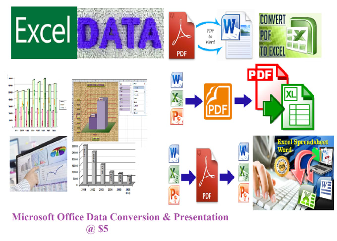 Gig Preview - Do ms word ms excel and ms power point work for you