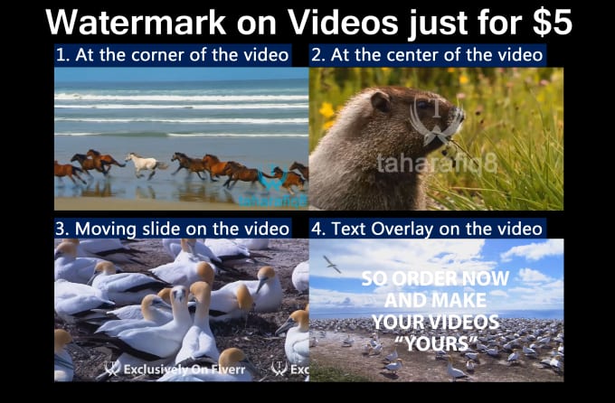 Gig Preview - Place watermark on your videos for its safety