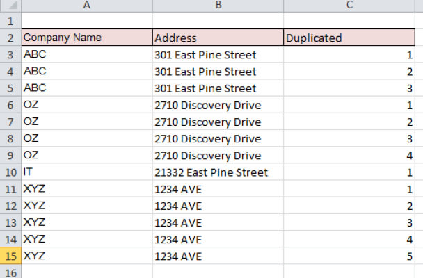 Gig Preview - Remove duplicate data in excel