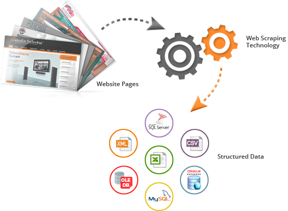 Gig Preview - Scrap data or leads from any website in excel or word format