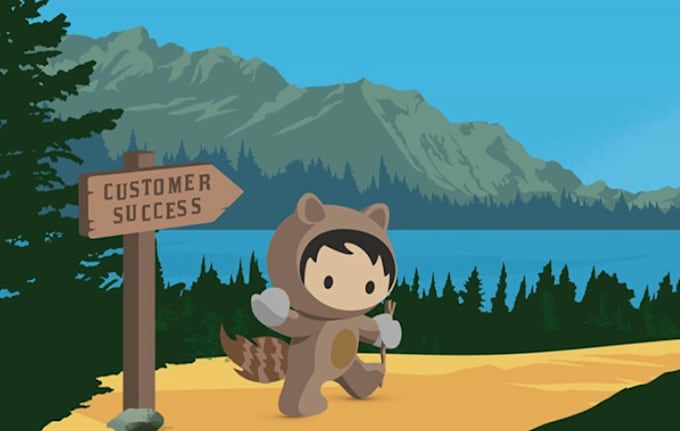 Gig Preview - Provide salesforce offshore development up to 4 hour