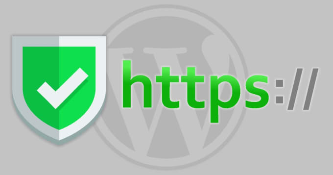 Gig Preview - Install ssl certificate on your website