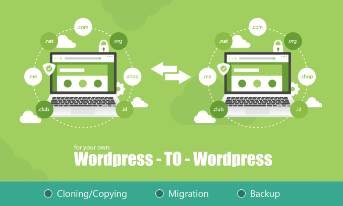 Gig Preview - Backup, copy, move or migrate your wordpress site from one location to another