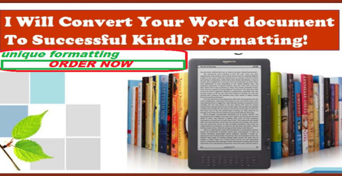 Gig Preview - Format your word doc into kindle format