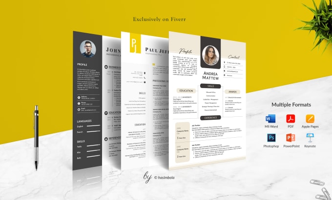 Gig Preview - Perform professional resume design and CV design