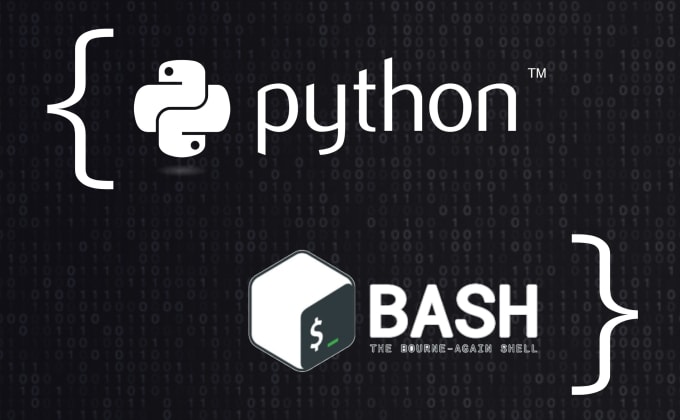 Gig Preview - Write python or bash scripts to automate tasks