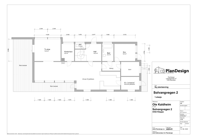 Gig Preview - Make a professional 2d floorplan with measurement