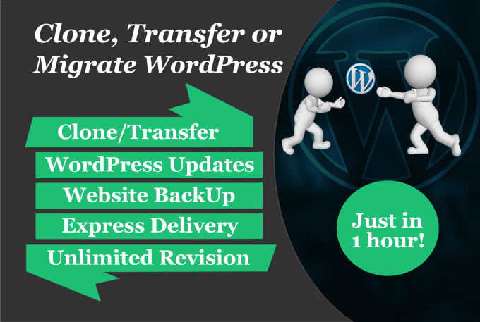 Gig Preview - Clone, transfer or migrate wordpress website in 1 hour