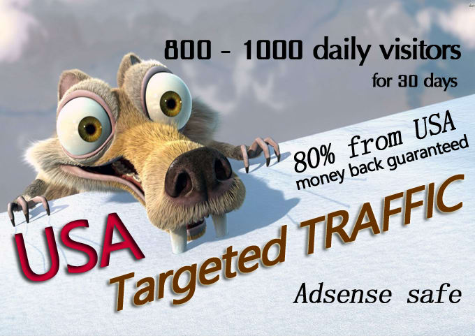 Bestseller - drive unlimited usa targeted real website traffic, visitors