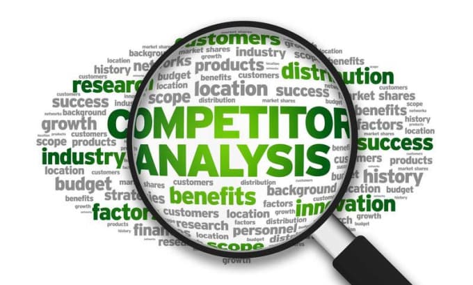 Gig Preview - Do website audit and competitor analysis