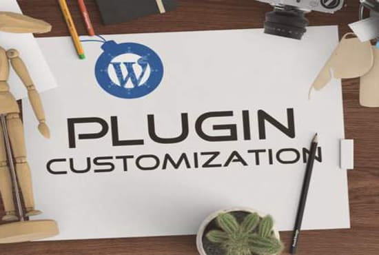 Gig Preview - Fix or customize your wordpress plugin