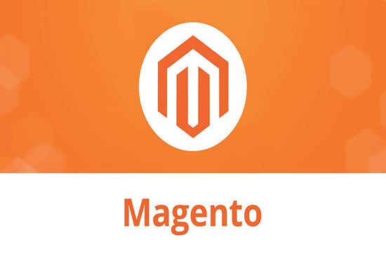 Gig Preview - Make and customize magento extensions and websites