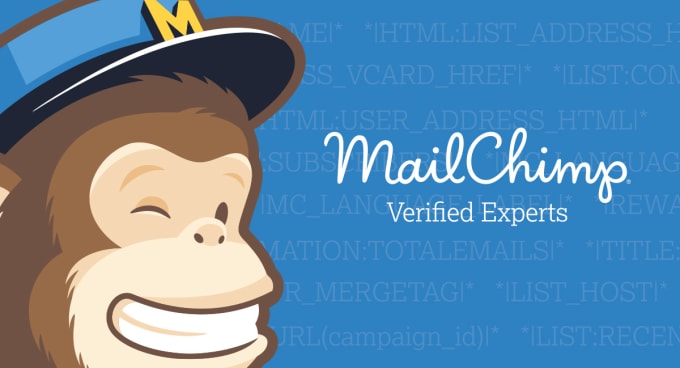 Gig Preview - Work as your mailchimp expert