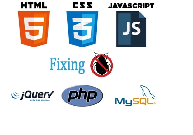 Gig Preview - Be your php developer and codeigniter web developer bugs fix