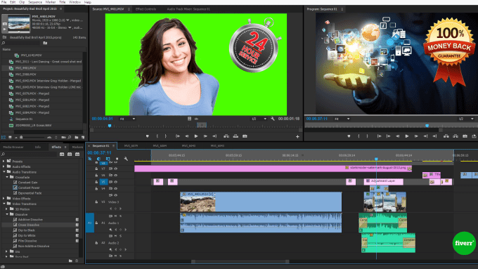 Gig Preview - Do professional video editing as you wish