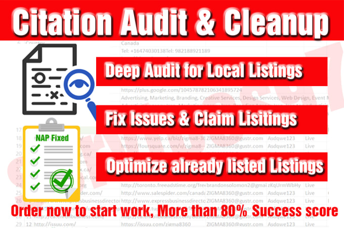 Gig Preview - Do citation audit and cleanup