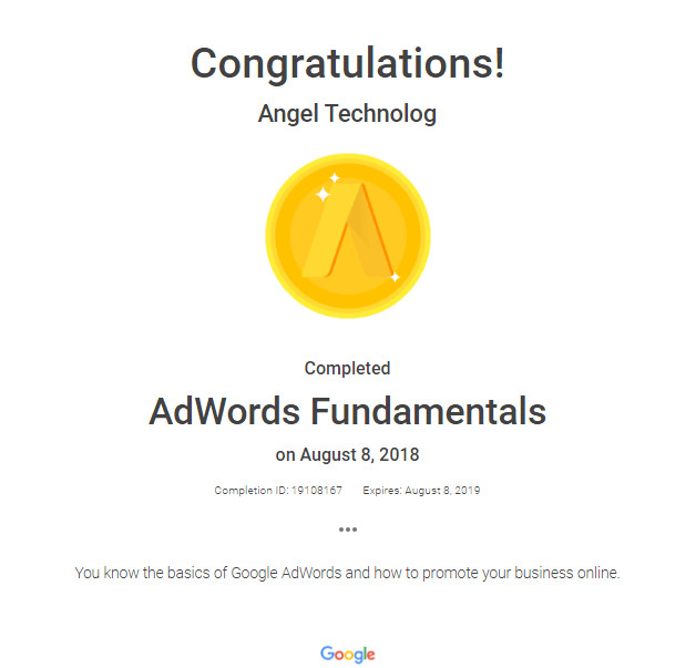 Gig Preview - Set up a local adwords campaign