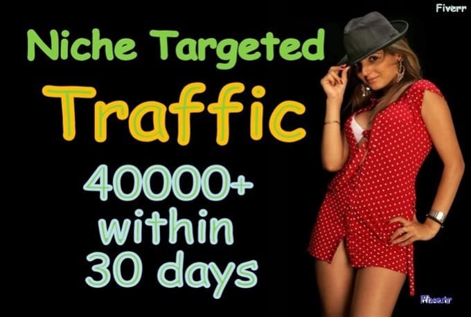 Gig Preview - Analyze and send 40k professionally targeted usa web traffic