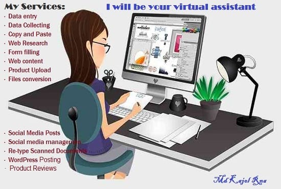 Gig Preview - Be your data entry virtual assistant