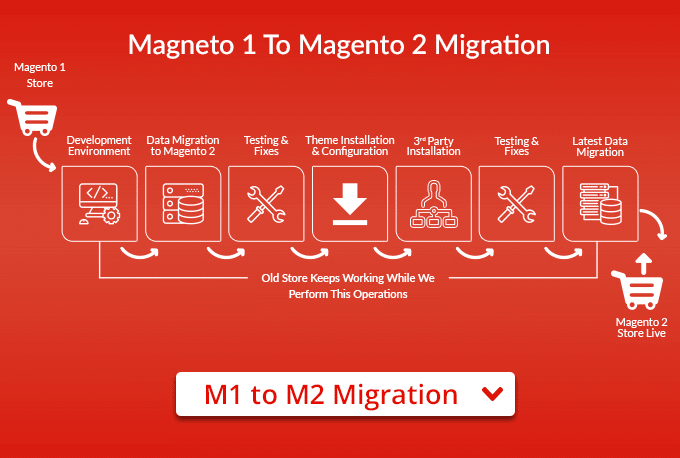 Gig Preview - Migrate your magento 1 store to magento 2