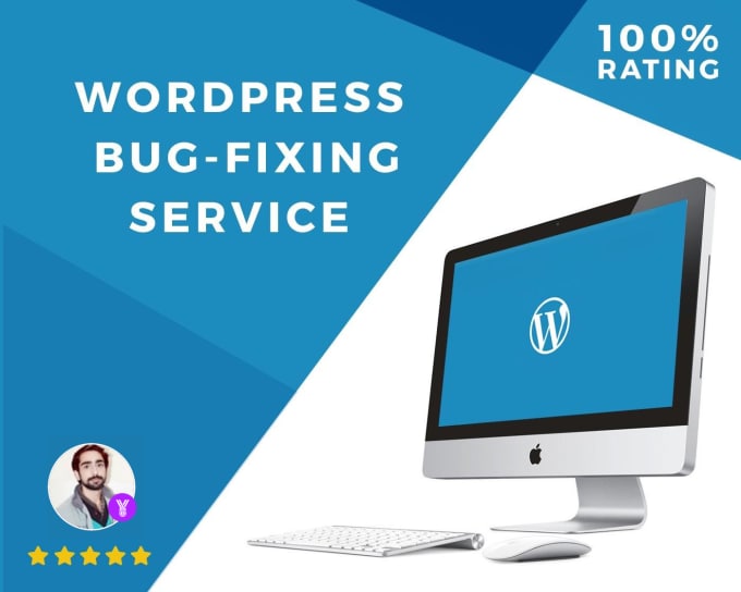 Gig Preview - Fix any wordpress bug with in 24 hours