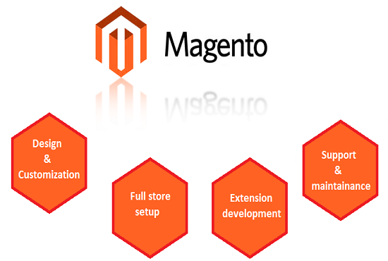 Gig Preview - Install, setup and customize your magento store as per your requirement