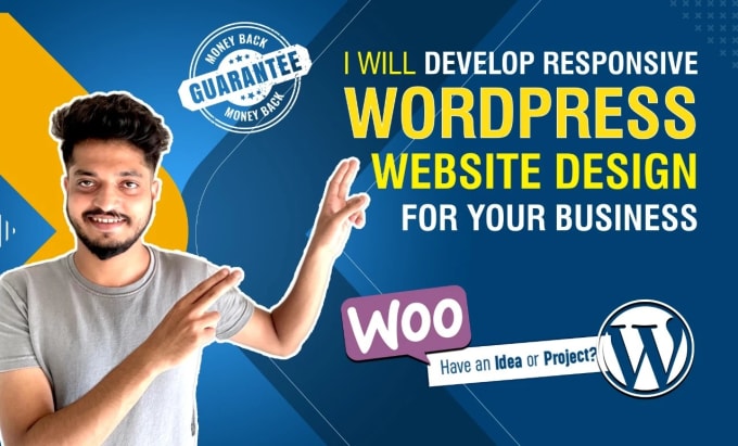 Gig Preview - Design professional wordpress website