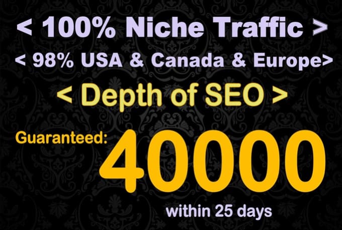 Gig Preview - Get 40k niche targeted seo friendly website traffic