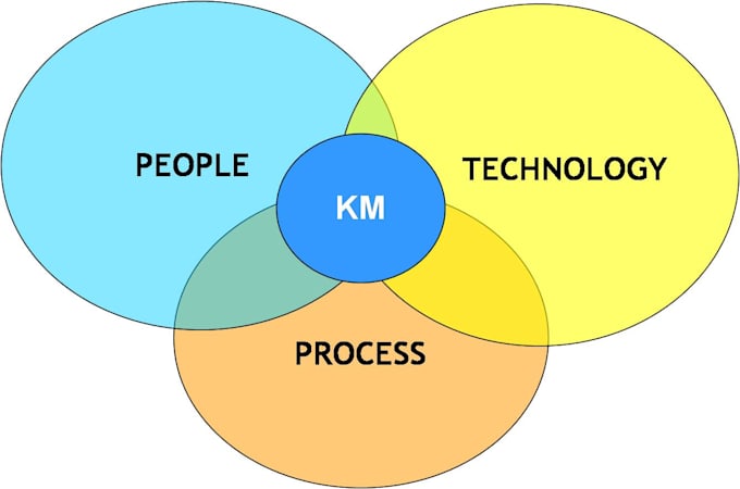 Gig Preview - Consult you to leverage on knowledge management