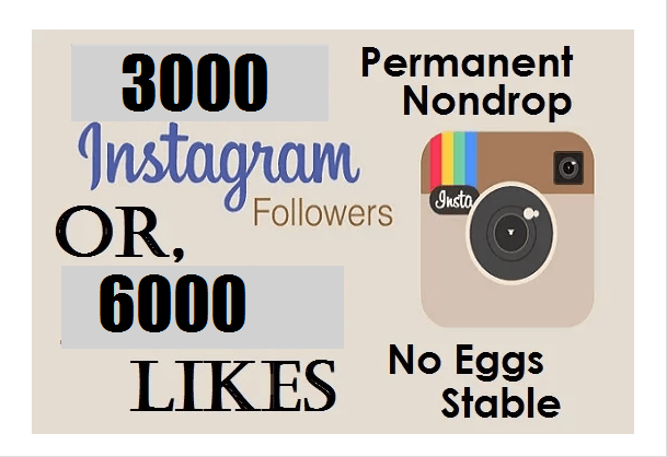 add 3000 real usa Followers INSTAGRAM | Fiverr - 609 x 418 png 52kB